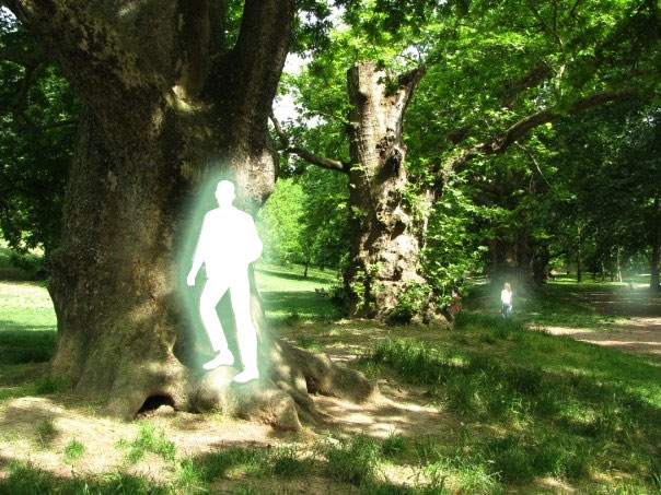 Alberi-di-luce-102K.jpg
